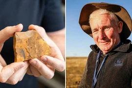 Bất ngờ phát hiện loài muỗi mới cách nay 151 triệu năm