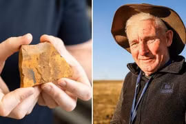 Bất ngờ phát hiện loài muỗi mới cách nay 151 triệu năm