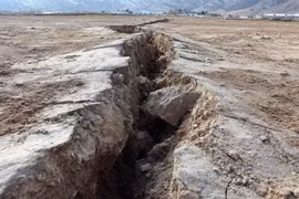 Phát hiện đứt gãy động đất tự hồi phục chỉ sau vài giờ