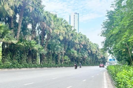 Thời tiết ngày 14/9: Hà Nội ngày nắng, chiều tối mưa dông