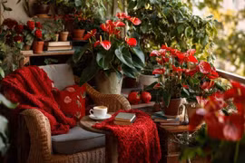 4 cây cảnh mùa lạnh dễ chăm, nở hoa rực rỡ suốt Đông