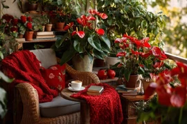 4 cây cảnh mùa lạnh dễ chăm, nở hoa rực rỡ suốt Đông