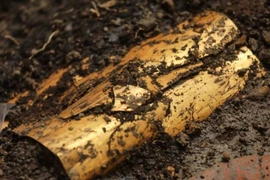 Khai quật ngôi mộ tiền Columbus, choáng ngợp kho báu xa hoa