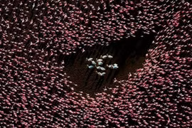 Ảnh thắng giải Nhiếp ảnh hàng không 2025 gây sốt toàn cầu