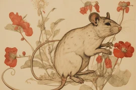 Tử vi tuần mới (1 - 7/9): 3 con giáp đắc tài đắc lộc