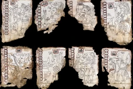 Bí ẩn cuốn sách cổ của người Maya gây tranh luận nhiều năm