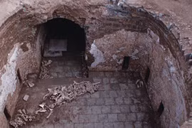 Mở mộ cổ nhà Đường, bất ngờ phát hiện thi hài quý bà chôn cùng lừa