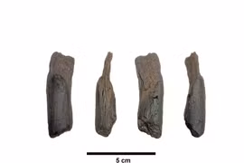 Công cụ gỗ cổ xưa nhất của Hy Lạp hé lộ bí mật lịch sử