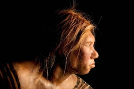 Hộp sọ người Neanderthal được bảo quản hoàn hảo hé lộ điều không ngờ