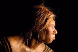 Hộp sọ người Neanderthal được bảo quản hoàn hảo hé lộ điều không ngờ