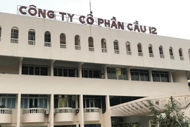 Công ty Cổ phần Cầu 12 không công bố báo cáo tài chính theo quy định