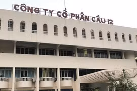 Công ty Cổ phần Cầu 12 không công bố báo cáo tài chính theo quy định