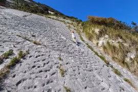 Phát hiện chi chít dấu chân 'thủy quái' trên vách đá cổ gây sốc