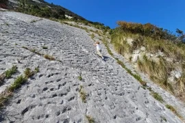 Phát hiện chi chít dấu chân 'thủy quái' trên vách đá cổ gây sốc