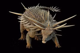 Điểm tên loài khủng long mới được phát hiện gần đây