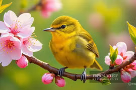 Ba tháng Âm lịch sinh con hưởng phúc lớn, cả nhà đón may mắn