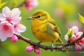 Ba tháng Âm lịch sinh con hưởng phúc lớn, cả nhà đón may mắn