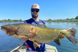 'Thủy quái' cắn câu, cần thủ hốt hoảng kéo lên cá trắm 31kg