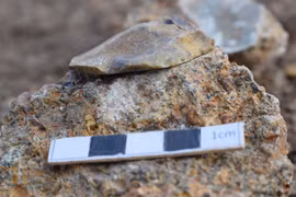 Công cụ bằng đá 1,5 triệu tuổi hé lộ bí mật chưa từng thấy