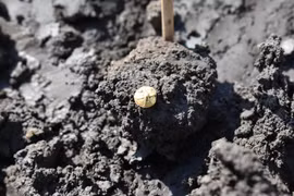 Phát hiện kho báu chứa đầy vàng bạc trong khu định cư cổ