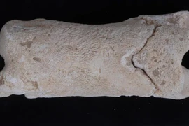 Bí ẩn cuộc sống người canh giữ lăng mộ qua chiếc còi xương cổ