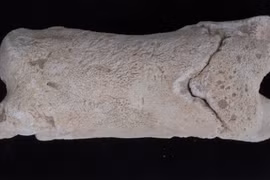 Bí ẩn cuộc sống người canh giữ lăng mộ qua chiếc còi xương cổ