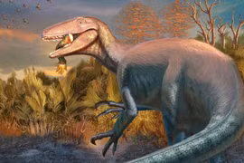 Giật mình phát hiện khủng long khổng lồ ngậm chân cá sấu