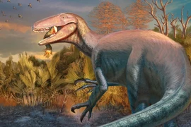 Giật mình phát hiện khủng long khổng lồ ngậm chân cá sấu