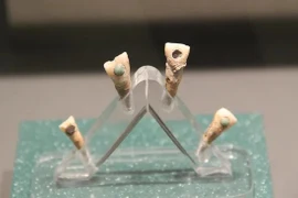 Tìm thấy trẻ em Maya 7 tuổi có ngọc răng xanh biếc kỳ lạ