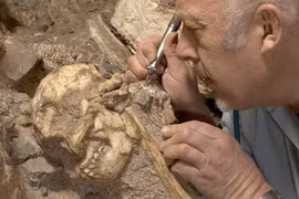 Hóa thạch Little Foot viết lại lịch sử tiến hóa loài người