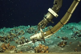 Tìm thấy mạch nguồn sự sống chưa từng thấy trên thế giới