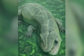 Hóa thạch 275 triệu năm tuổi hé lộ thủy quái có hàm răng xoắn kỳ dị