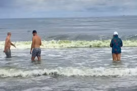 Nước biển Vũng Tàu biến màu xanh lá kỳ lạ, chuyên gia giải mã sao?