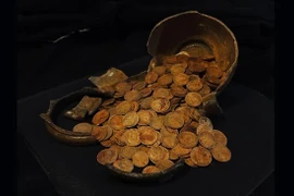 Đào móng nhà, phát hiện kho báu tiền cổ quý giá hơn 13 tỷ đồng