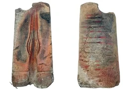 Tưởng hòn đá bình thường, chủ nhà sử dụng không biết đó là 'báu vật'