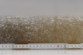 Phát hiện bất ngờ về lõi băng 6 triệu năm tuổi tại Nam Cực