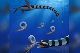 Hóa thạch khủng 85 triệu tuổi giải mật điều chưa từng thấy