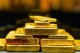 Đào bể bơi trong vườn, người đàn ông sốc nặng thấy kho báu vàng khủng