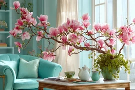 Hoa mộc lan hút tài lộc, cách dưỡng thế nào để nở đúng giao thừa?