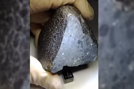 Khám phá mới về 'Người Đẹp Đen' rơi xuống sa mạc Sahara