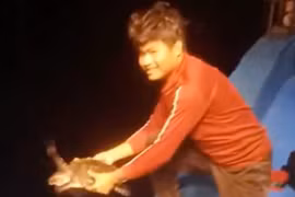 Cảm động khoảnh khắc ngư dân Gia Lai thả rùa quý về biển