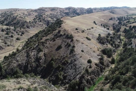 Khai quật thành phố 'thất lạc' trên Con đường Tơ lụa