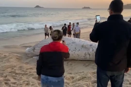  Xác sinh vật biển khổng lồ dạt bờ khiến dân tình hoang mang