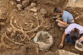 Khai quật khu chôn cất thời Đồ sắt nghi liên quan đến nữ hoàng Celt quyền lực