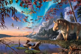 Chuyên gia phát hiện loài tê giác mới tại Bắc Cực