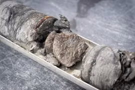 Tìm thấy hóa thạch khủng long dưới bãi đậu xe của bảo tàng