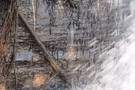 Độc lạ loài cá nhỏ 'leo' lên vách của thác nước thẳng đứng bằng... vây