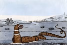 Bí ẩn thủy quái khổng lồ gây xôn xao dư luận thế kỷ 19