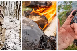 Người Neanderthal đi trước thời đại, chế tạo dược phẩm từ rất sớm