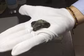 Phát hiện xương người hóa thạch dưới biển, lai lịch gây sốc